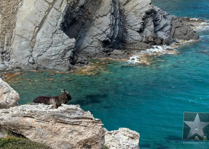 Villa Anna 12b By Bookmenorcavillas Con Vistas Al Mar *